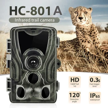 Охотничья Тропа Камера 24MP 1080P Ночного Видения iP65 Водонепроницаемая 850nm Дикие Камеры Фотоловушки HC801A Камера Наблюдения За Дикой природой